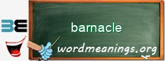 WordMeaning blackboard for barnacle